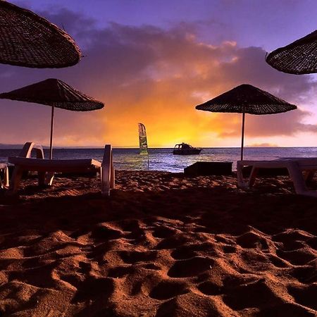 Hotel Cicek Evler Tatil Koeyue à Armutlu Extérieur photo