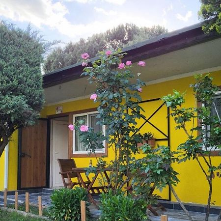 Hotel Cicek Evler Tatil Koeyue à Armutlu Extérieur photo